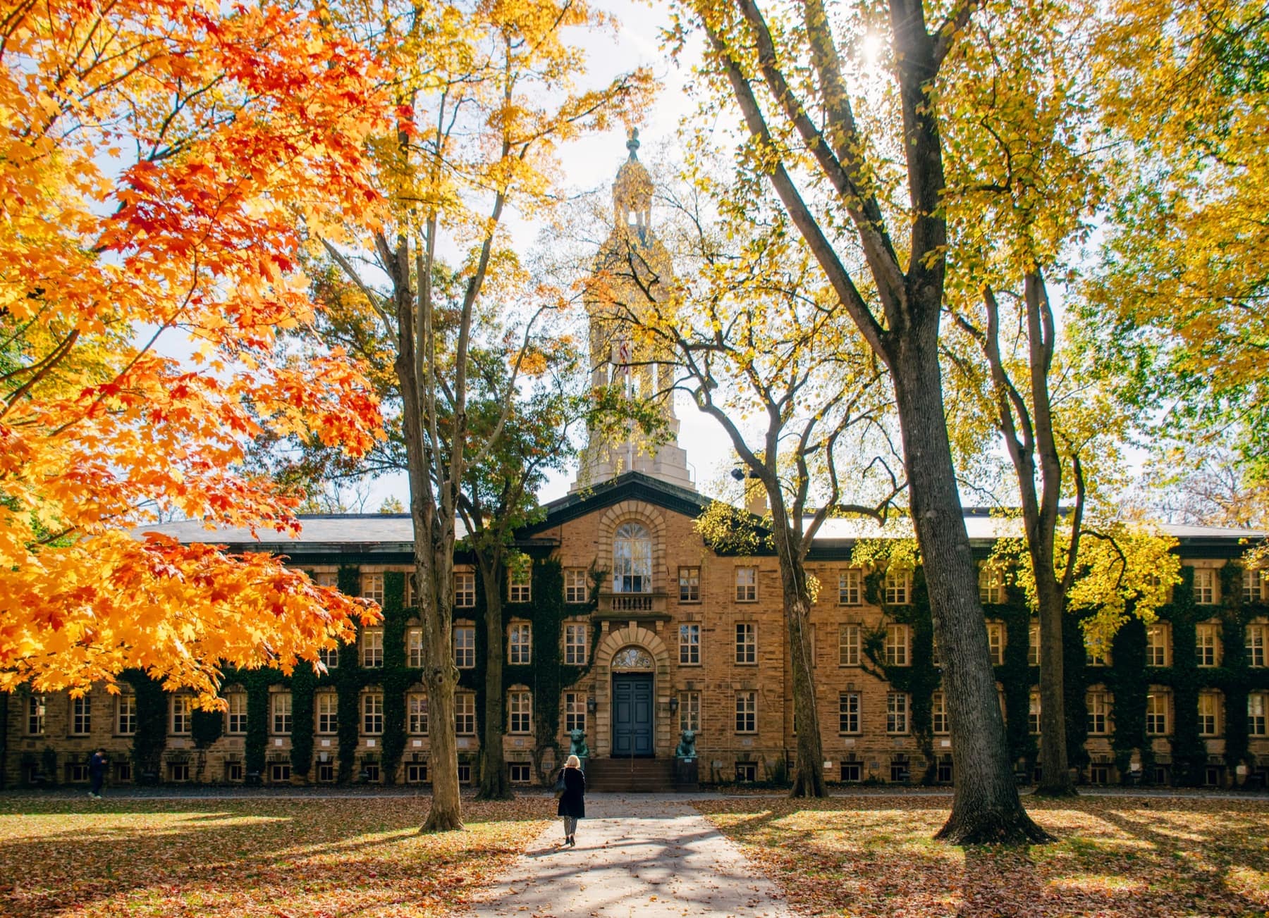 A campus building among autumn trees